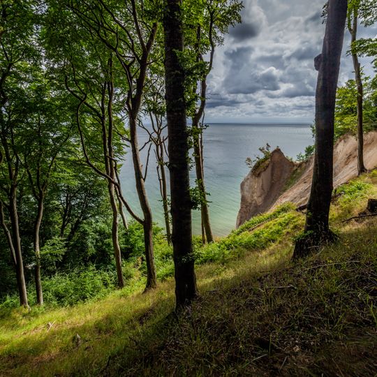 Baltic mixed forests