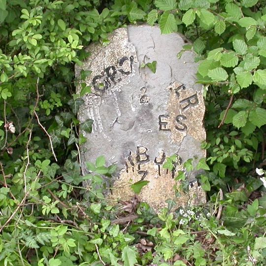 Milestone, near jct with the 'Old Sherborne Road' at Middlemarsh; opp.  small road that joins old and new roads.