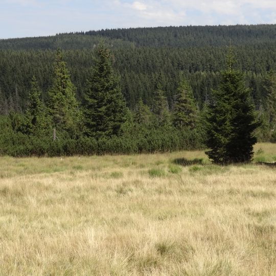 Rezerwat przyrody Torfowiska Doliny Izery