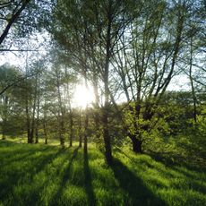 Naturschutzgebiet "Wiesenlandschaft bei Überroth" (N 6407-307)