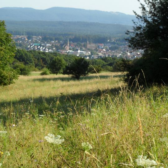 Magerwiesen am Eulenkopf