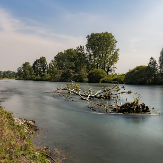 Parco dell'Oglio Nord