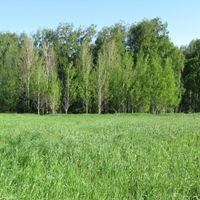 Kytmanovsky District