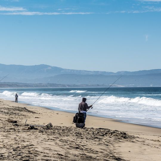 Refuge faunique national Salinas River