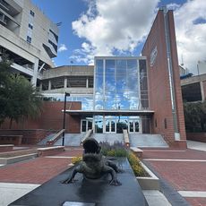 Bull Gator