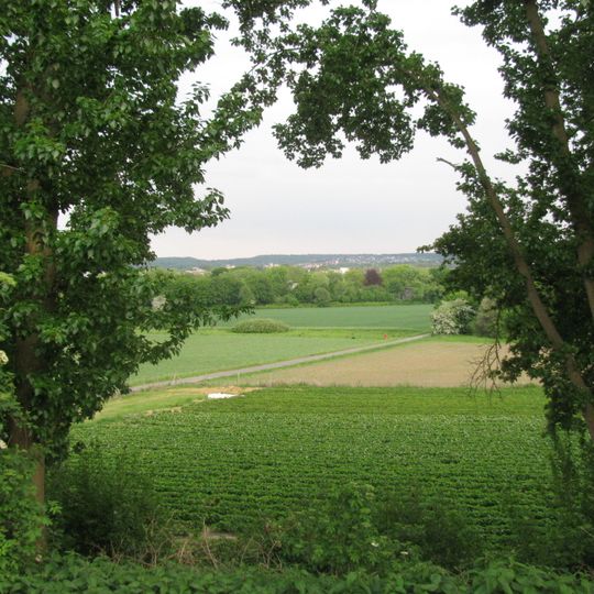 LSG-Schuerener Feld
