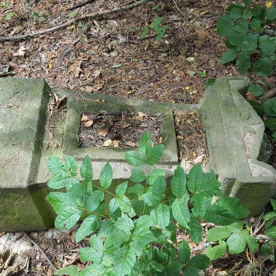 Pamětní kříž na NS Skalní defilé u Svojšína