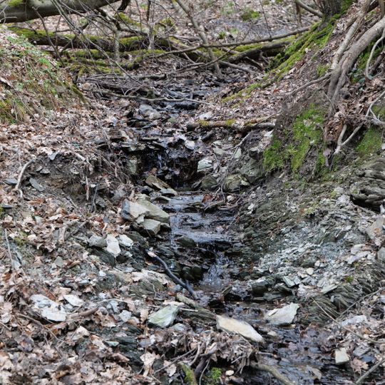 Vogeltal-Bach Taunus