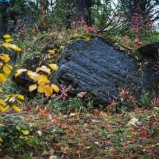 Käymäjärvi Inscriptions