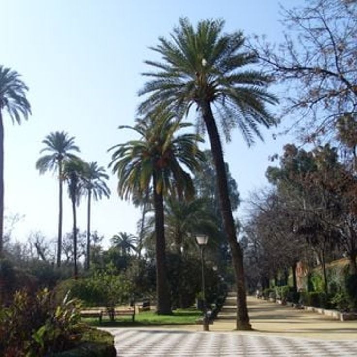 Paseo de Catalina de Ribera y Jardines de Murillo