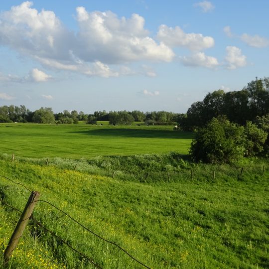 NSG Dornicksche Ward