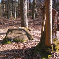 Ritterstein 131 "Schoenlaub-Linden"