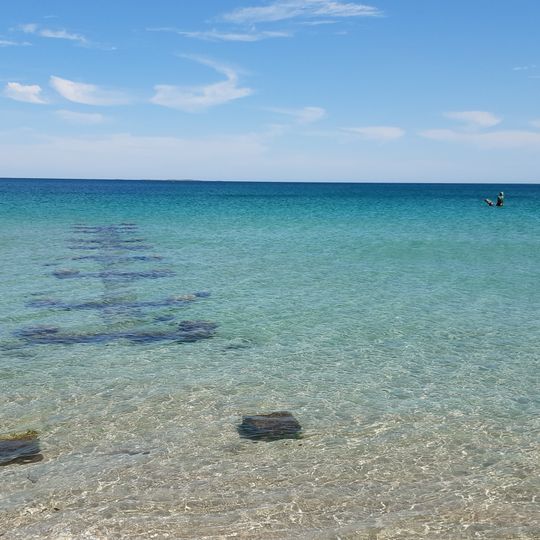 Robbs Jetty Abattoir