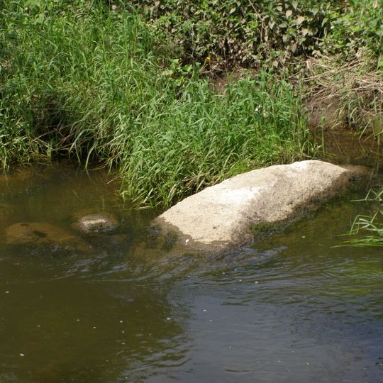 Salantų akmuo su Laumės pėda