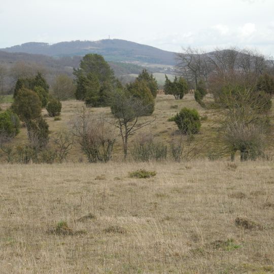 Dörneberg bei Viesebeck