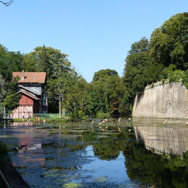 Metz Water Garden