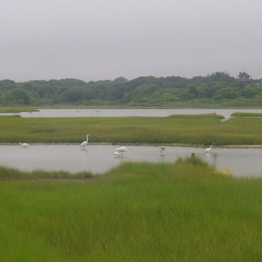 Allens Pond Wildlife Sanctuary