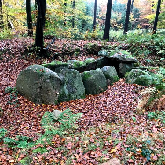 Großsteingrab Nenndorf