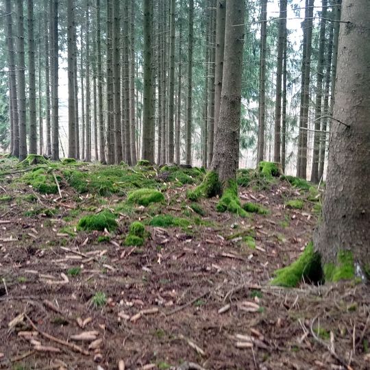 Hallstattzeitlicher Grabhügel Bödigheim
