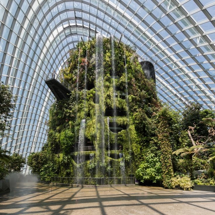 Domínio Cloud Forest