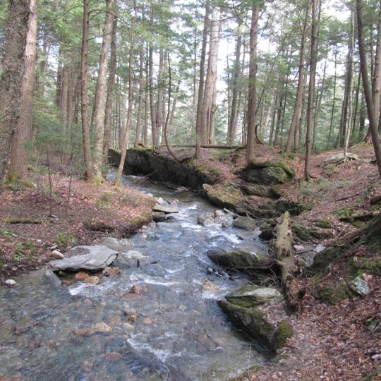Savoy Mountain State Forest