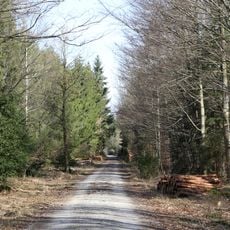 LSG Hofoldinger und Höhenkirchner Forst