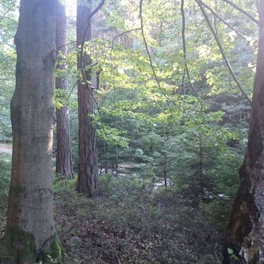 Obrázek pod Najdeckým čihadlem