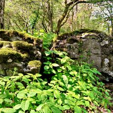 Naturschutzgebiet Wingershäuser Schweiz