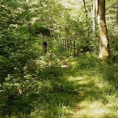 NSG Uelfetal mit Nebentaelern