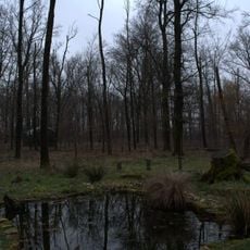 Riserva naturale Bosco WWF di Vanzago