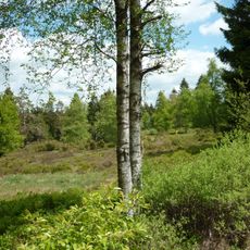 Schwarzbachsystem mit Haberg und Krenkeltal