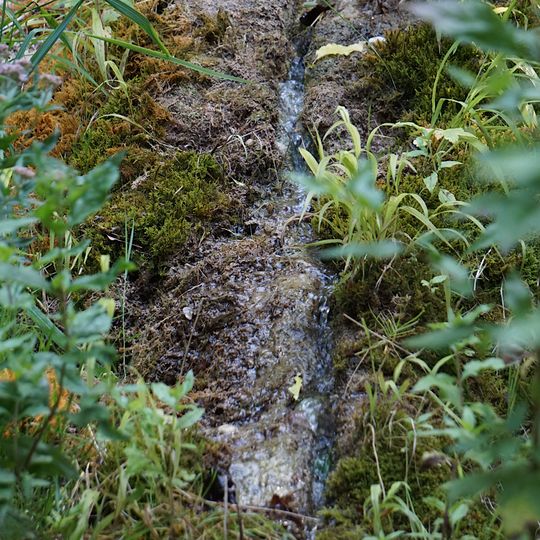 Wachsender Stein E von Schönbrunn
