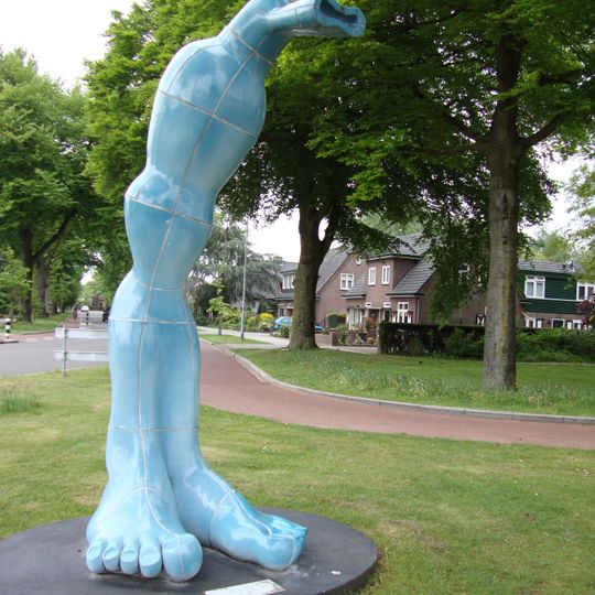 Waar het Oog al is, wil de Voet naar toe