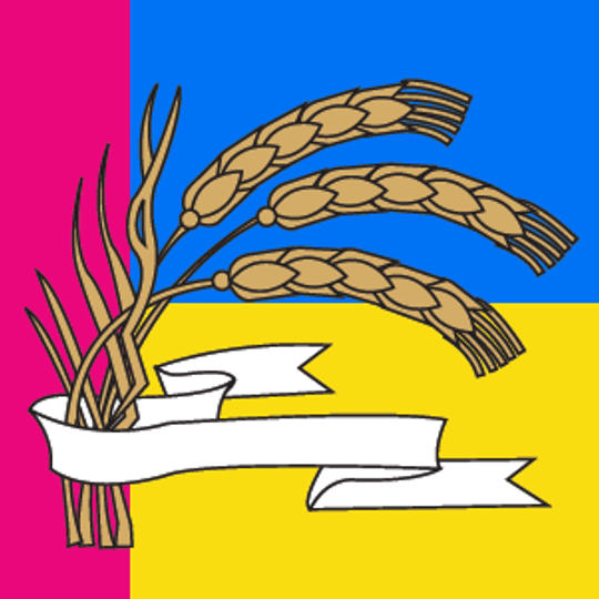 Distretto di Žaškiv