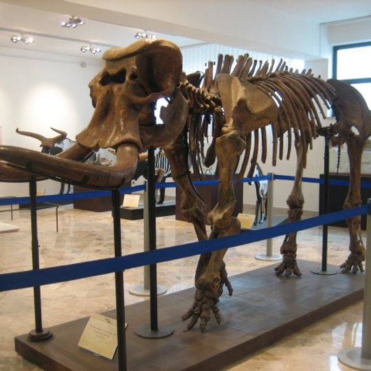 Museo di paleontologia e geologia Gaetano Giorgio Gemmellaro