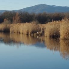 Réserve naturelle régionale des marais et landes du Rothmoos