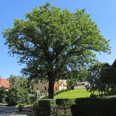 Luthereiche Schullwitz