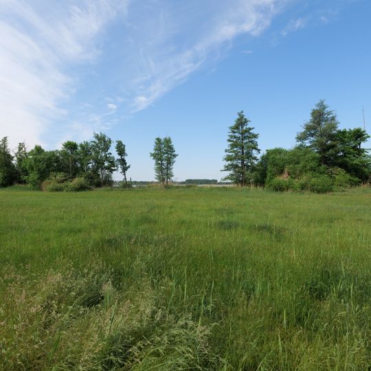 Streuwiesen bei Werder