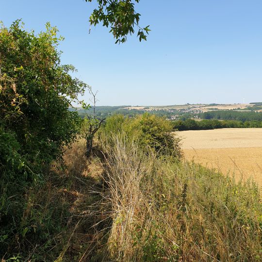 Camp romain de Liercourt-Érondelle