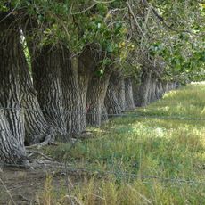 High Plains Arboretum