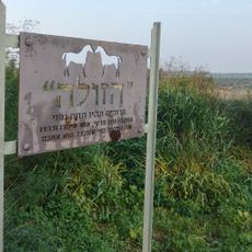 הזולה לסוסים