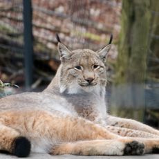 Tierpark Rheingönheim
