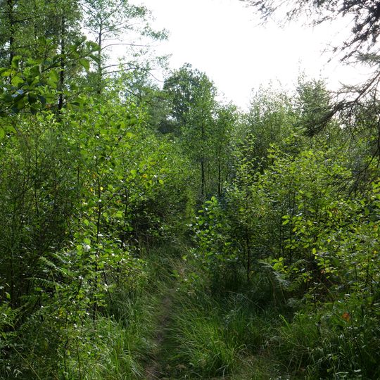 Zijrivieren van het meer van Eupen