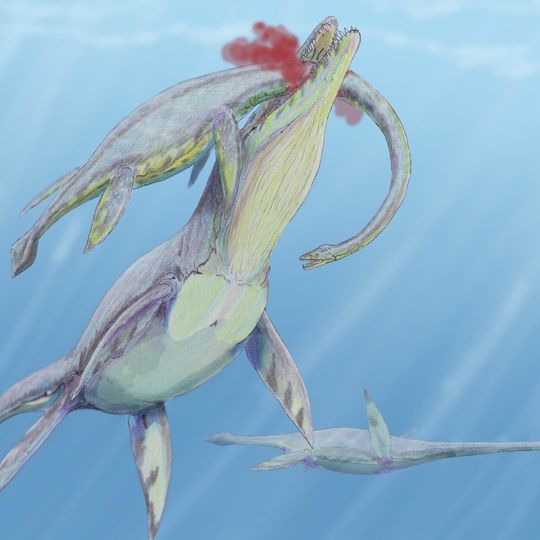 Eromanga Sea