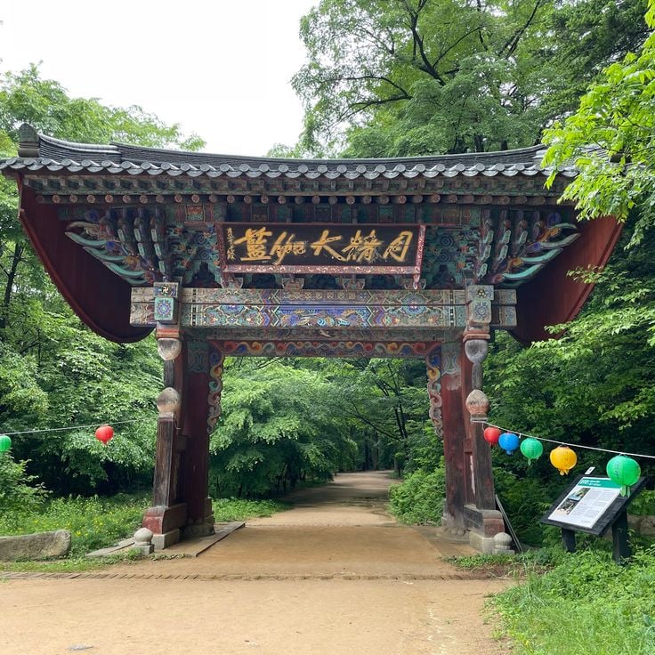 Woljeongsa granskogsstig
