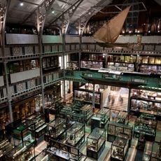 Pitt Rivers Müzesi