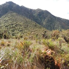 Yanachaga–Chemillén National Park