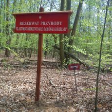 Nature reserve Klasztorne Modrzewie