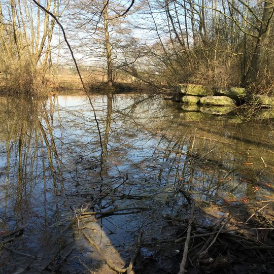 Beibach mit Teich und Feuchtflächen