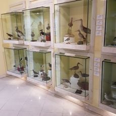 Museo ornitologico della Sardegna